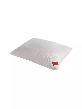 HEFEL | Kissen "Pure Silk" 40x60cm (Champagner) 480g | 